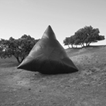hayden fowler, distant future history