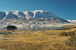 new zealand residency