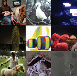 Intra-action: Multispecies becomings in the Anthropocene